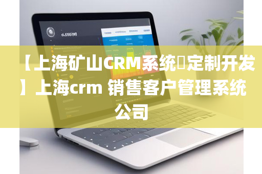 【上海矿山CRM系统​定制开发】上海crm 销售客户管理系统公司